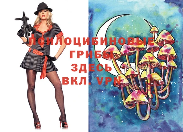 Альфа ПВП Алексин