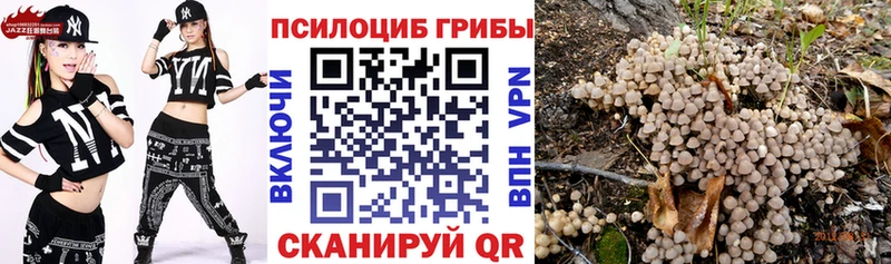 Псилоцибиновые грибы мухоморы  Краснообск 