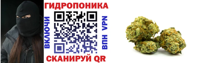 MEGA вход  Краснообск  Канабис семена  купить наркотики цена 